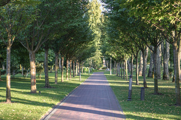 Beautiful garden in the park. Path in nature for jogging and recreation. Stock photo