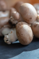 Fototapeta premium Fresh organic brown chestnut champignons from underground caves in Belgium