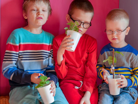 Happy kids in glasses with flower pot for growing seedlings. Bright emotions. Green plant in black earth. Children is happy at home. Preparation for new season of farmer. Tomato, eggplant, cucumber