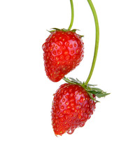 strawberry isolated on the white background.