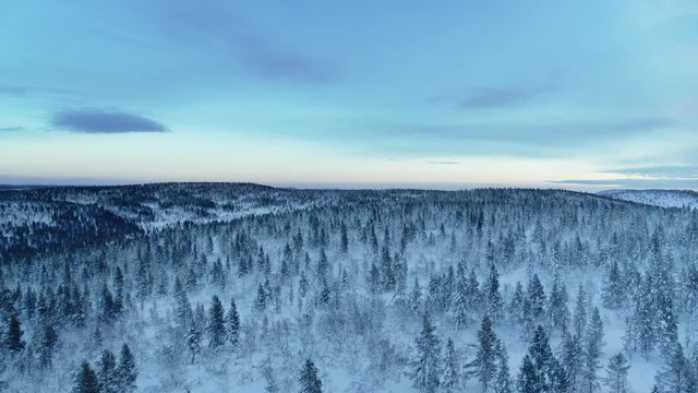 Top view of the snowy taiga in northern Finland. beautiful, lonely winter forest