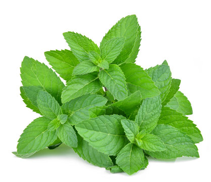 Fresh mint leafs isolated on a white background