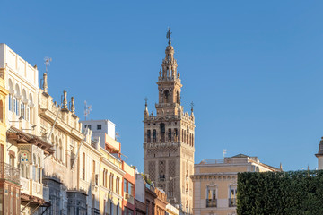 Fototapeta na wymiar View of Seville Cathedral of Saint Mary of the See (Seville Cathedral) with Giralda tower