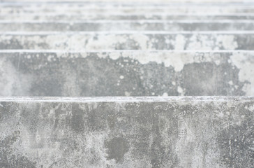 The background of the cement wall is the floor or steps.