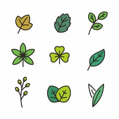 Set of leaf vector illustration isolated on white, leaf icon 