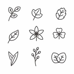 Set of leaf icon with line design, leaves vector illustration 