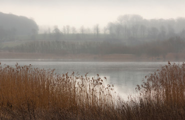 Misty morning on the lake