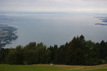 Bodensee Bäume