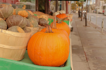 pumpkins