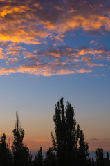 Landscape with dramatic light - beautiful golden sunset with saturated sky and clouds.