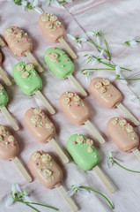 Different variants of cake pops ice creams. Spring sweets.