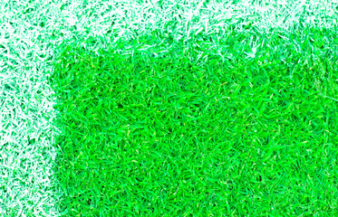 Top view of green grass background wallpaper