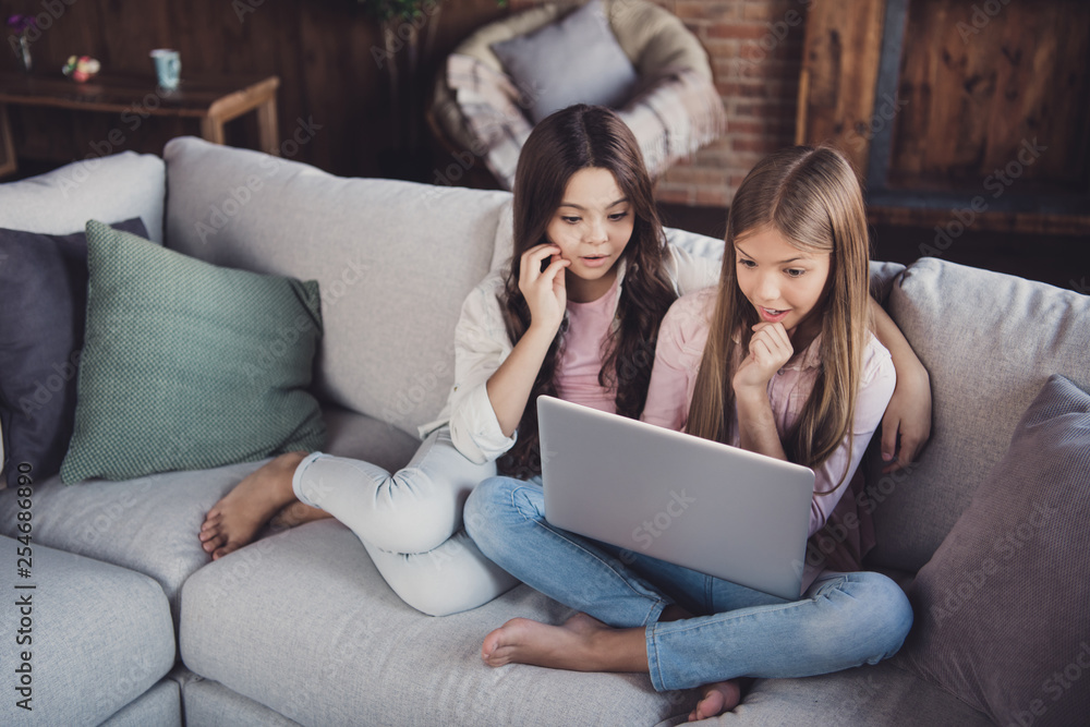 Canvas Prints Portrait of two nice-looking lovely attractive charming clever smart funny curious girls sitting on divan using laptop reading book education tutorial in house loft industrial interior style