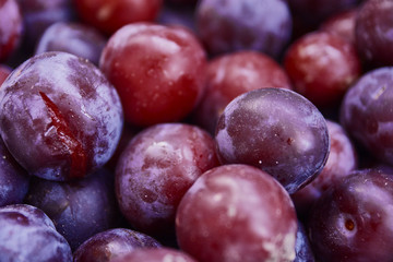 Close up of fresh plums. Fresh ripe plums top view. Agriculture, Gardening, Harvest Concept