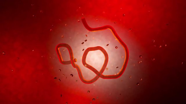 3D rendered Animation of a Ebola virus floating in the human body.