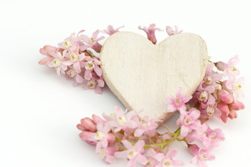 heart and flower lying on white