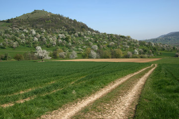 Limburg bei Weilheim/Teck