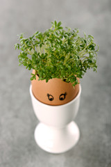 jajka wielkanocne © PAWEL