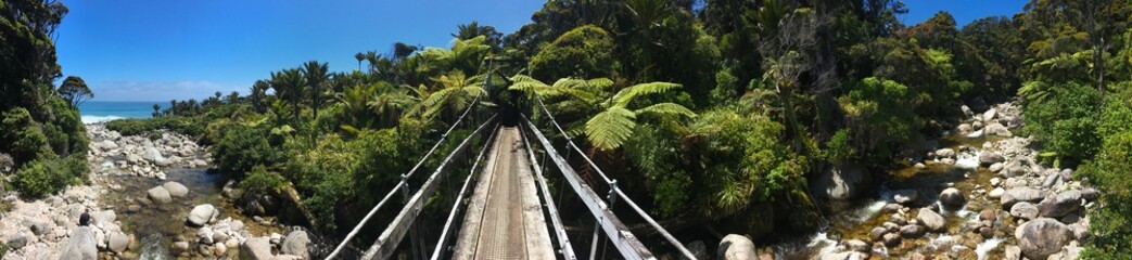 Fototapeta na wymiar Suspension Bridge over Stream on Heaphy Track, with Nikau Palms and Beach Visible, New Zealand