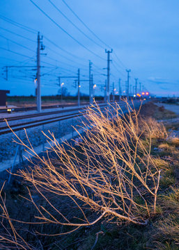 Schienen einer Bahntrasse am Abend
