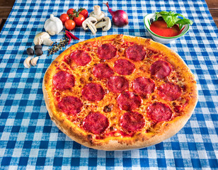 Salami and cheese pizza