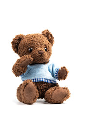 Doll bear on white background