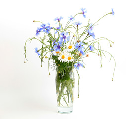 A bouquet of wild flowers of chamomile and cornflowers on a white background