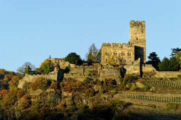 Burg Gutenfels