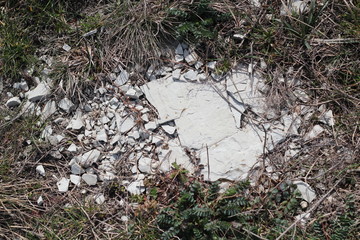 A piece of stone among the old grass.