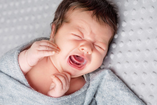 Sweet newborn baby shouting and crying.  Newborn boy 2 weeks old lying in the cocon. Close up image