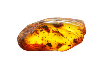 A piece of bright amber with insects on a white background. Sun Stone.  Larvae and mosquitoes in amber. Natural natural resin mineral. Crystal Petrified ancient resin. Inclusions in amber. Stone