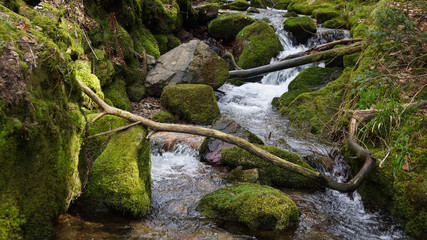 black forest water fall with moss covered rocks