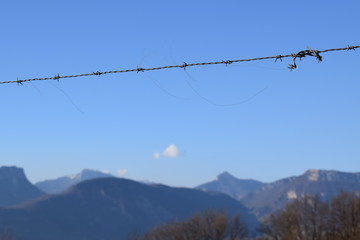 Barbelé