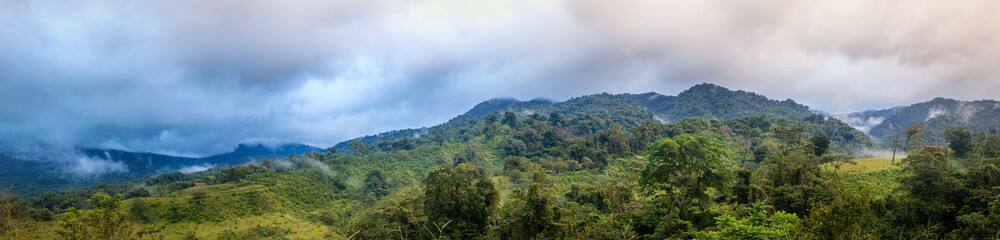 Fototapeta premium Cloud forest in Costa Rica