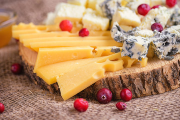 Cheese with mold and honey close-up, side view. Cheese slices with honey and cranberries. Pieces of cheese on natural background. Different sorts of cheese on wooden board.