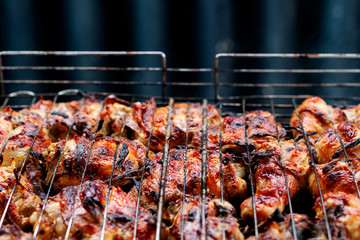 Grilled chicken leg snack for outdoor party.