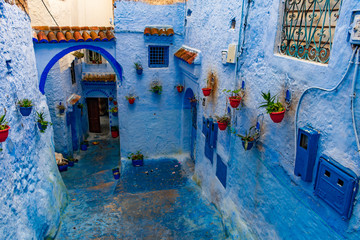 Blue Chefchaouen Morocco architecture with potted plants
