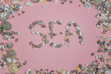 The word sea lined with seashells on a pink background. Tourism concept