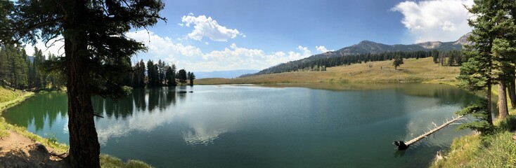 Yellowstone