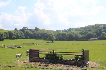 Obraz premium old farm house in the mountains