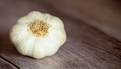 Fresh white garlic - healthy eating vegetable food, web banner