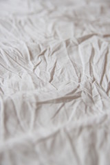 closeup of white wool texture