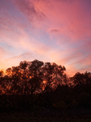 colorful sunset in the countryside in autumn