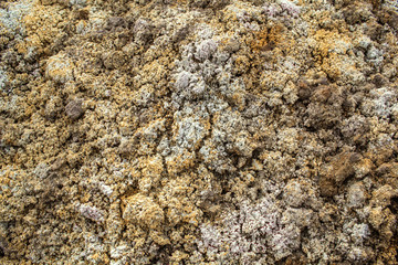 Texture clay. Clay under your feet. Raw material for processing