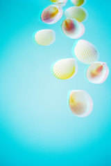 Summer creative concept. Minimal style with seashells on turquoise background with glitch effect and with copy space.