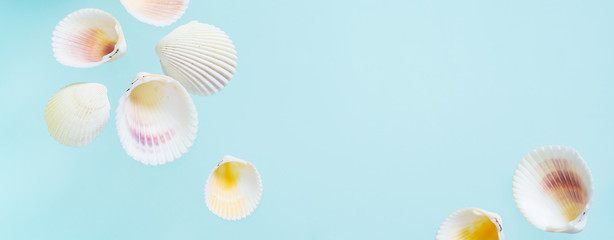 Summer creative concept. Minimal style with seashells on turquoise background with copy space. Long wide banner.