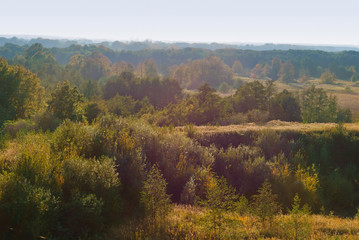 Endless forests and fields. The vastness of the forests. Landscape forest field from above.