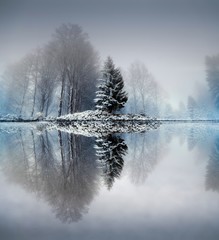Two trees in a snow covered field with reflections in a lake