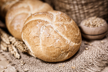 Fresh bread and wheat on a rustic background