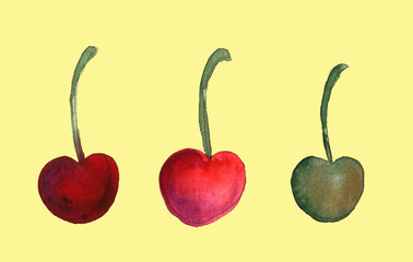 cherry food hand drawn watercolor illustration